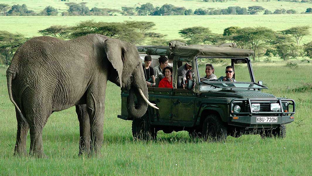 Nairobi National Park Tour