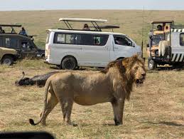 🦁 7 Days, 6 Nights Tanzania Northern Circuit Safari